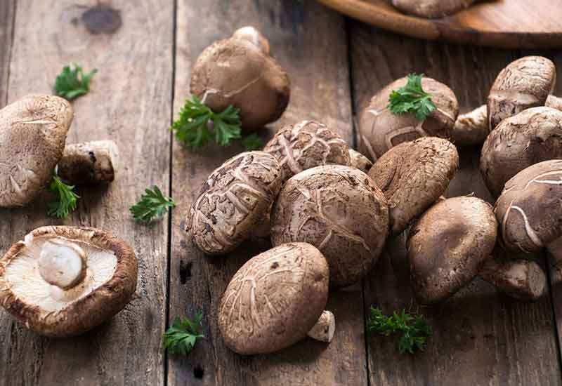 How to Grow Your Own Shiitake Mushrooms