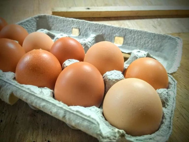 Pasture Raised Eggs Country Gardens Farm