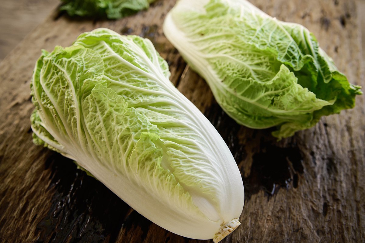 Chinese Napa Cabbage Country Gardens Farm