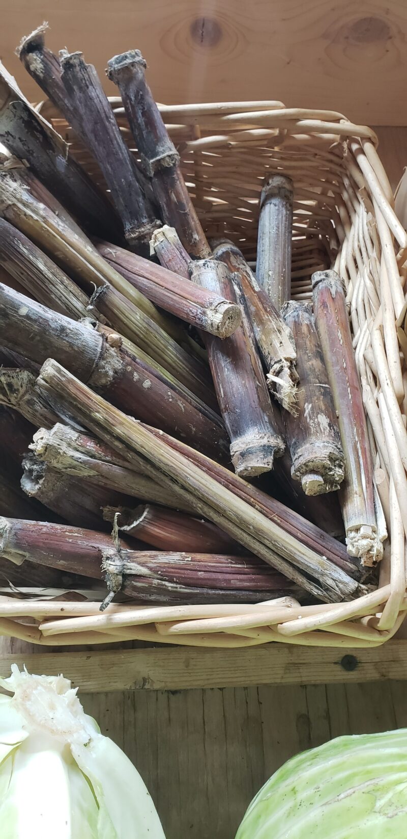 Sugar Cane small piece