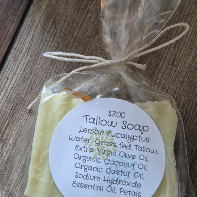 Tallow Bar Soap Lemon Eucalyptus 1.80oz-2.52oz